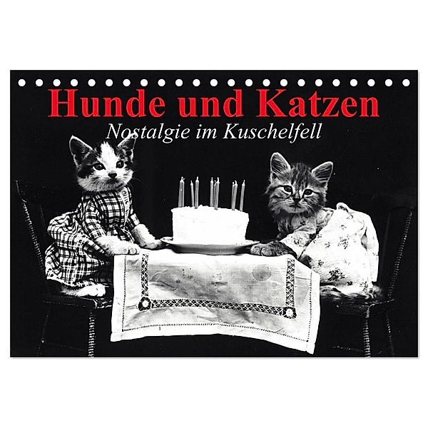 Hunde und Katzen - Nostalgie im Kuschelfell (Tischkalender 2024 DIN A5 quer), CALVENDO Monatskalender, Elisabeth Stanzer