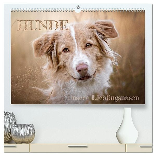 Hunde - Unsere Lieblingsnasen (hochwertiger Premium Wandkalender 2024 DIN A2 quer), Kunstdruck in Hochglanz, Tierfotografie Andreas Kossmann