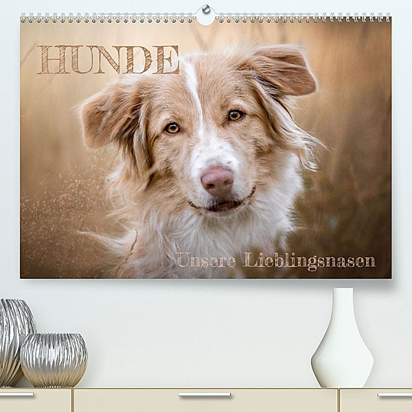 Hunde - Unsere Lieblingsnasen (Premium, hochwertiger DIN A2 Wandkalender 2023, Kunstdruck in Hochglanz), Tierfotografie Andreas Kossmann