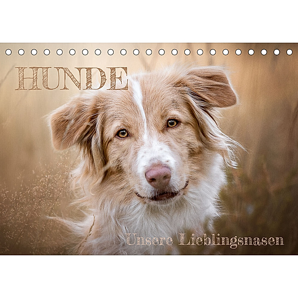 Hunde - Unsere Lieblingsnasen (Tischkalender 2023 DIN A5 quer), Tierfotografie Andreas Kossmann