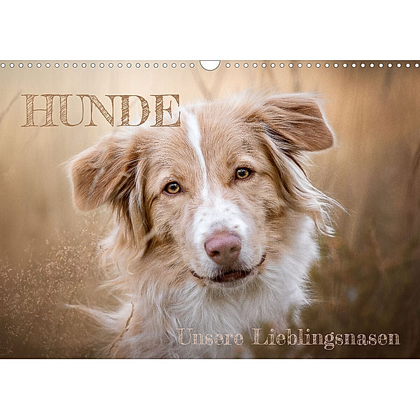 Hunde - Unsere Lieblingsnasen (Wandkalender 2023 DIN A3 quer), Tierfotografie Andreas Kossmann