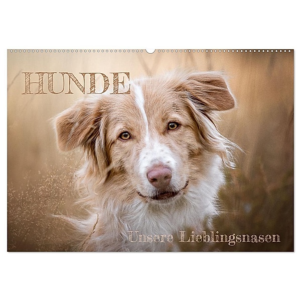 Hunde - Unsere Lieblingsnasen (Wandkalender 2024 DIN A2 quer), CALVENDO Monatskalender, Tierfotografie Andreas Kossmann