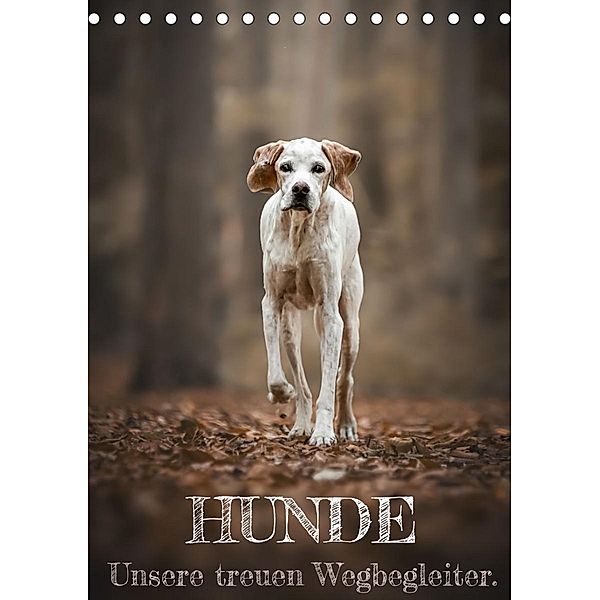 Hunde - Unsere treuen Wegbegleiter. (Tischkalender 2023 DIN A5 hoch), Tierfotografie Andreas Kossmann