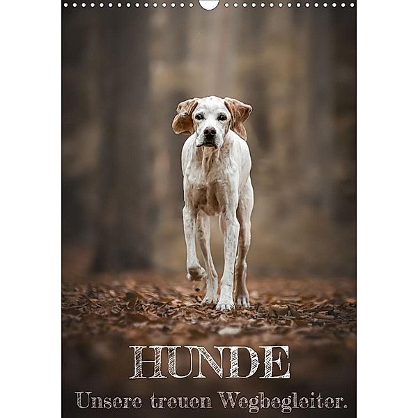 Hunde - Unsere treuen Wegbegleiter. (Wandkalender 2023 DIN A3 hoch), Tierfotografie Andreas Kossmann