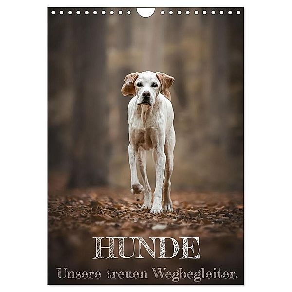 Hunde - Unsere treuen Wegbegleiter. (Wandkalender 2024 DIN A4 hoch), CALVENDO Monatskalender, Tierfotografie Andreas Kossmann