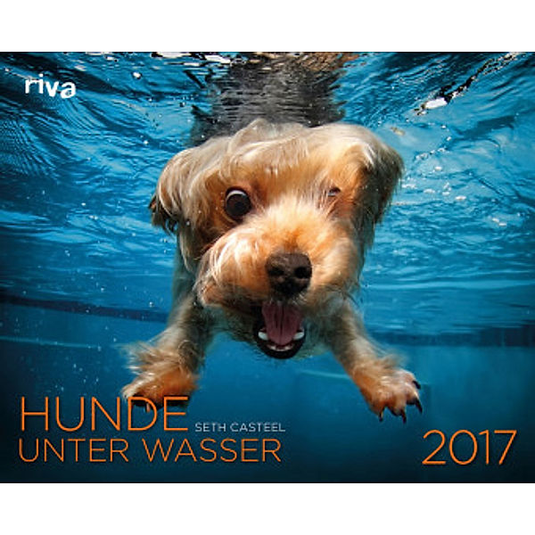Hunde unter Wasser 2017, Seth Casteel