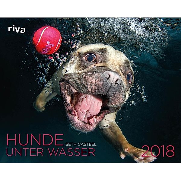 Hunde unter Wasser 2018, Seth Casteel