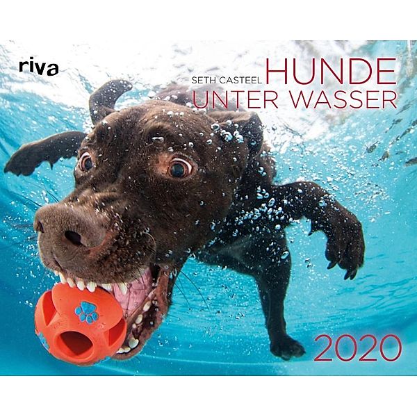 Hunde unter Wasser 2020, Seth Casteel