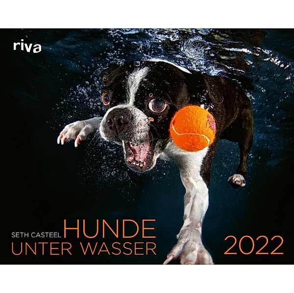 Hunde unter Wasser 2022, Seth Casteel