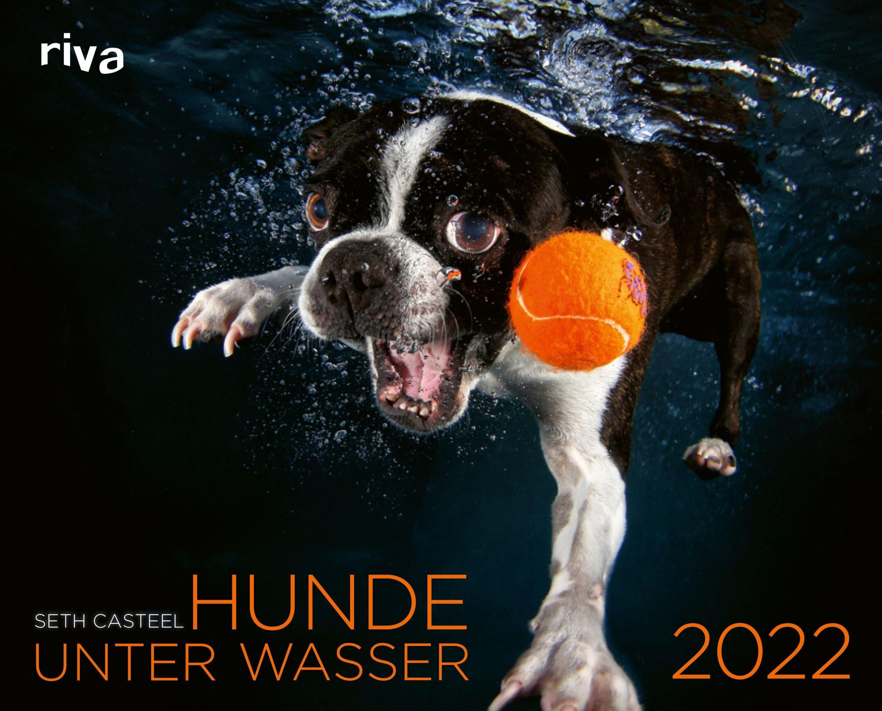 Hunde unter Wasser 2022 - Kalender bei Weltbild.de bestellen