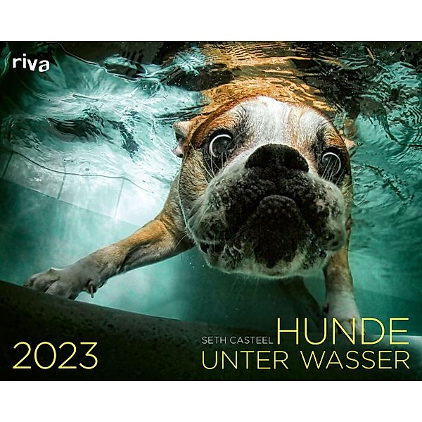 Hunde unter Wasser 2023, Seth Casteel