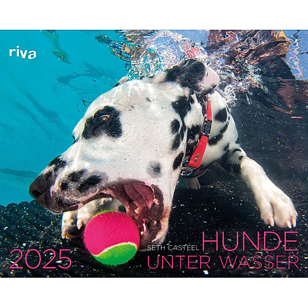 Hunde unter Wasser 2025, Seth Casteel
