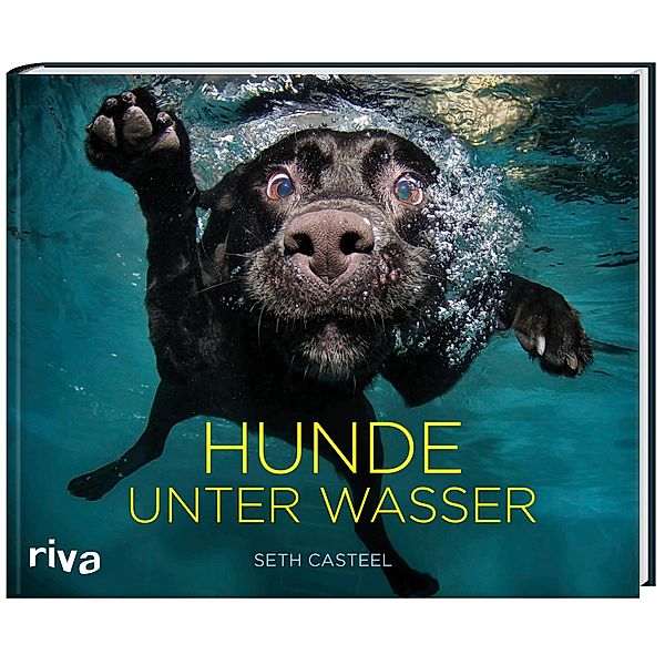 Hunde unter Wasser, Seth Casteel