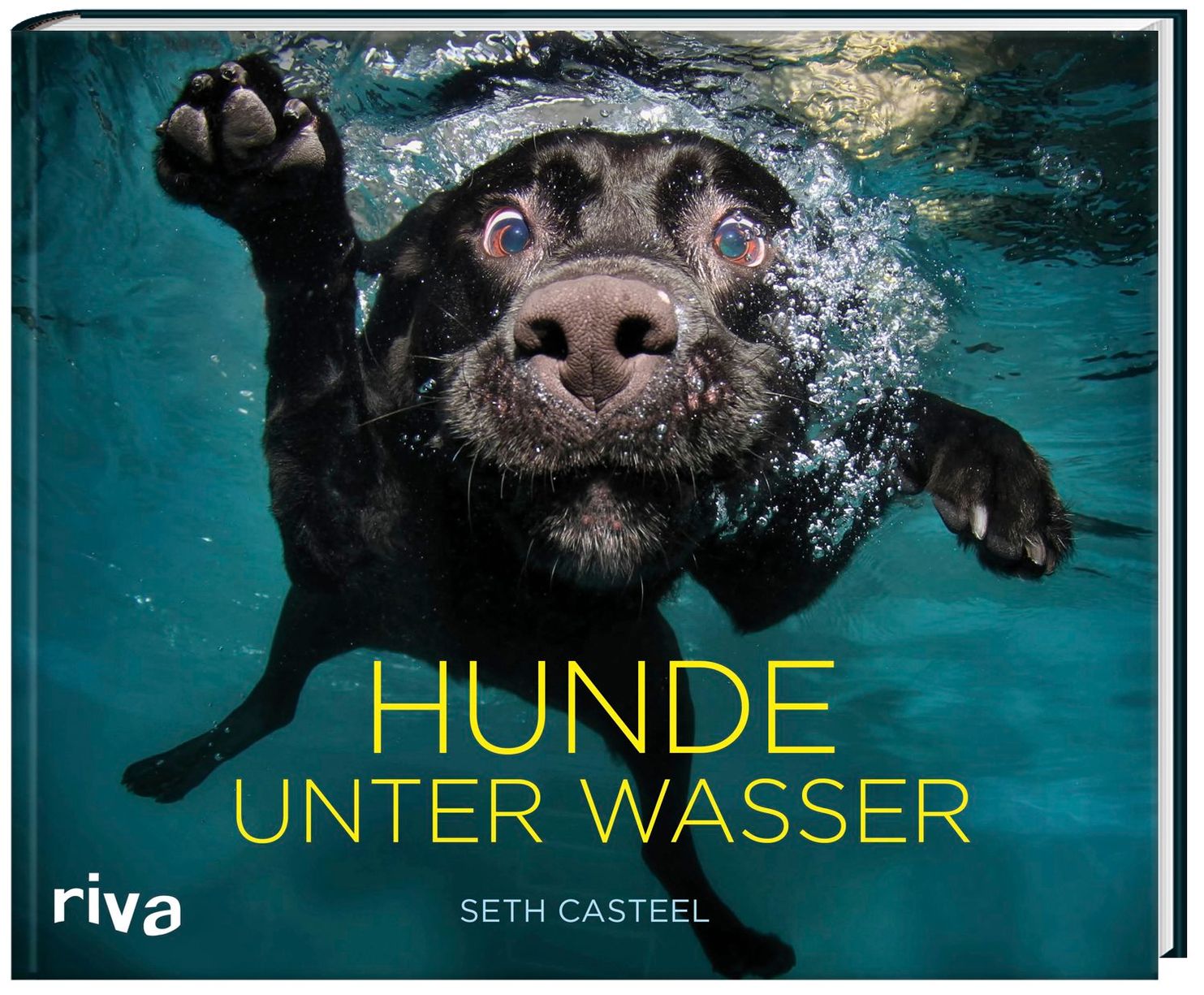 Hunde unter Wasser Buch von Seth Casteel versandkostenfrei - Weltbild.de