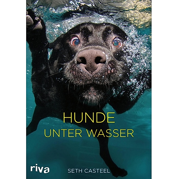 Hunde unter Wasser, Seth Casteel