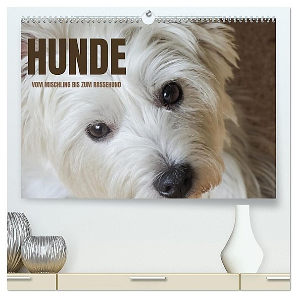 Hunde - vom Mischling bis zum Rassehund (hochwertiger Premium Wandkalender 2024 DIN A2 quer), Kunstdruck in Hochglanz, Angela Rohde
