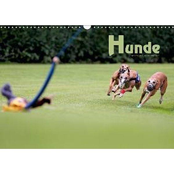 Hunde (Wandkalender 2016 DIN A3 quer), Wolfgang Brandmeier