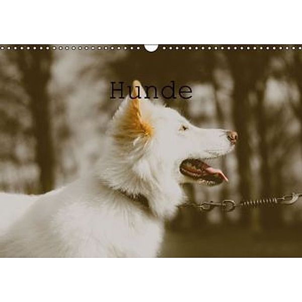 Hunde (Wandkalender 2016 DIN A3 quer), Nina Tobias