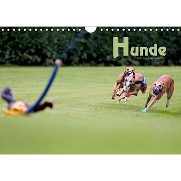 Hunde (Wandkalender 2016 DIN A4 quer), Wolfgang Brandmeier