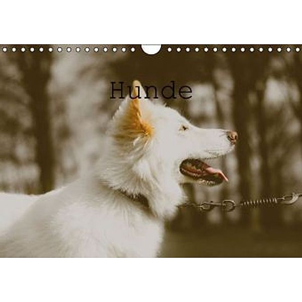 Hunde (Wandkalender 2016 DIN A4 quer), Nina Tobias