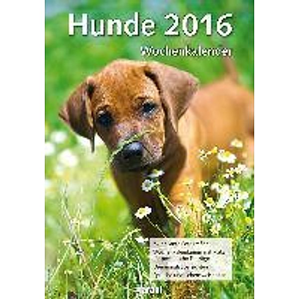 Hunde, Wochenkalender 2016