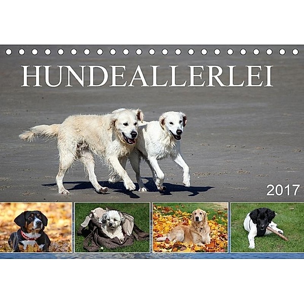 Hundeallerlei (Tischkalender 2017 DIN A5 quer), SchnelleWelten