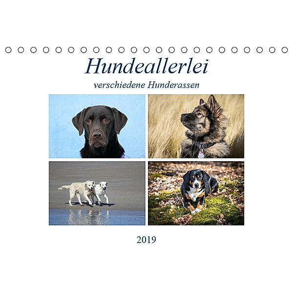 Hundeallerlei (Tischkalender 2019 DIN A5 quer), SchnelleWelten