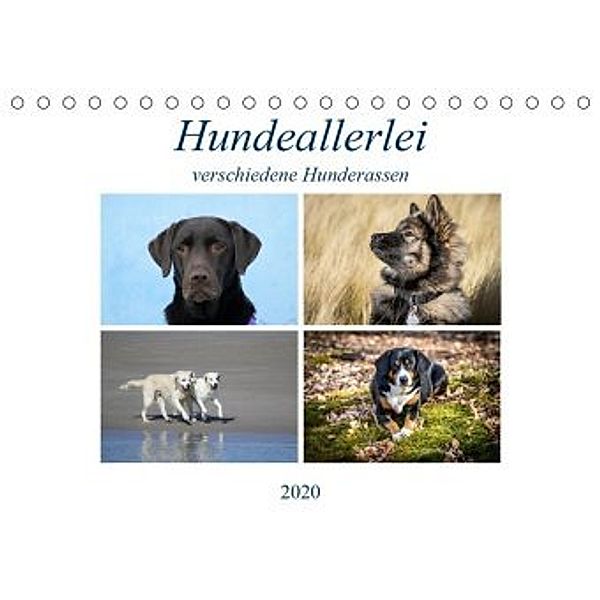 Hundeallerlei (Tischkalender 2020 DIN A5 quer)