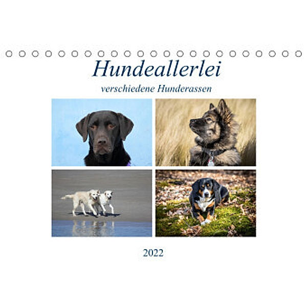 Hundeallerlei (Tischkalender 2022 DIN A5 quer), SchnelleWelten