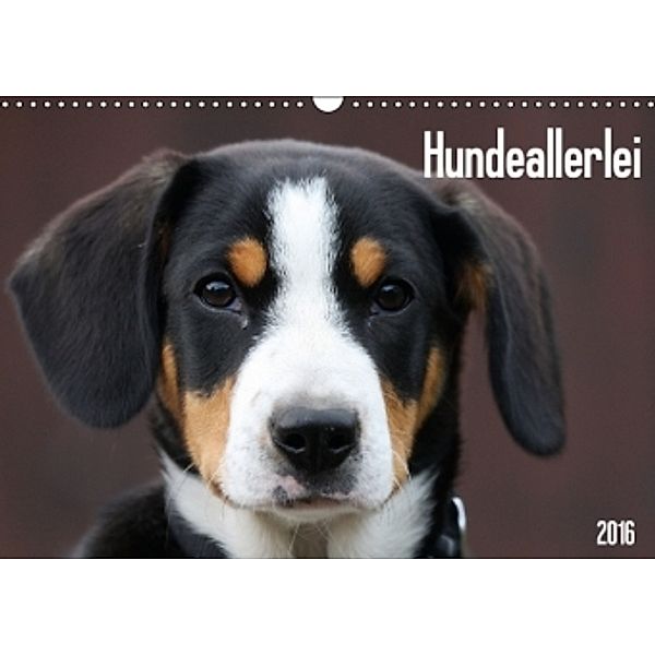Hundeallerlei (Wandkalender 2016 DIN A3 quer), SchnelleWelten