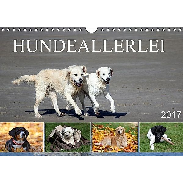 Hundeallerlei (Wandkalender 2017 DIN A4 quer), SchnelleWelten