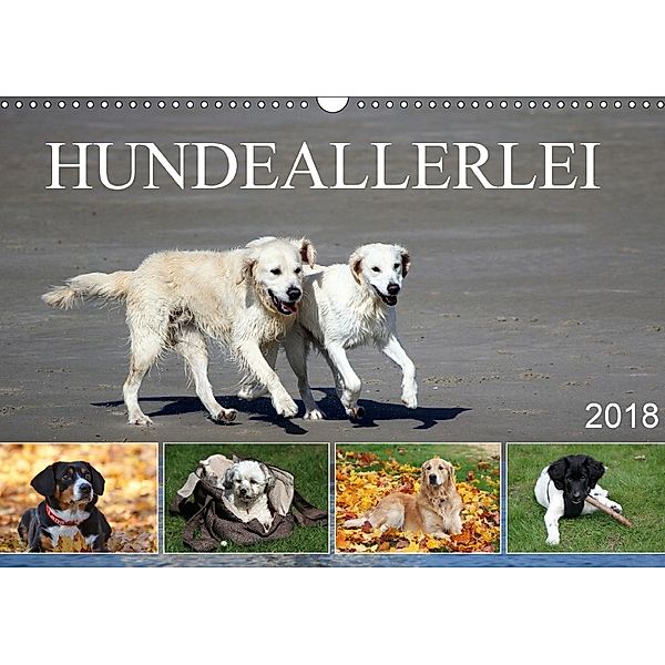 Hundeallerlei (Wandkalender 2018 DIN A3 quer), SchnelleWelten