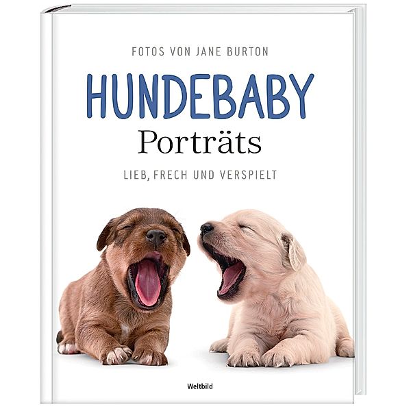 Hundebaby Porträts - Lieb, frech und verspielt, Jane Burton