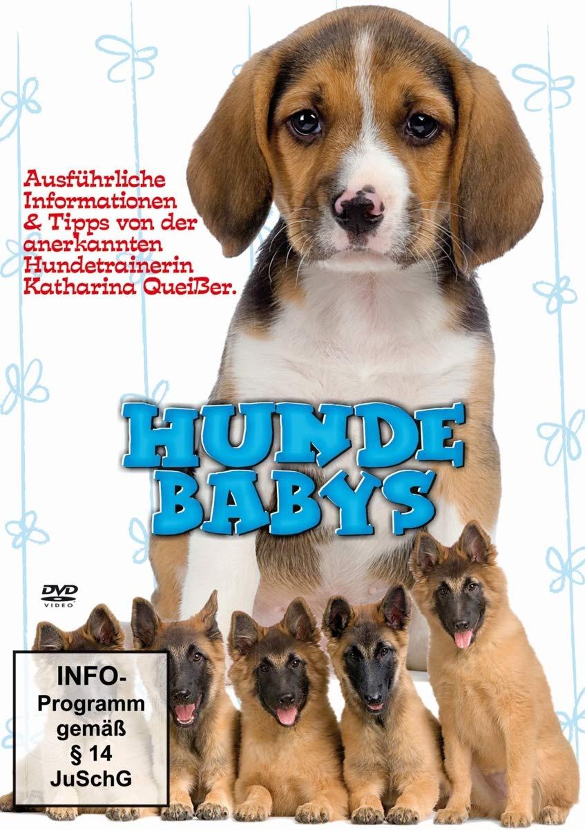 Image of Hundebabys