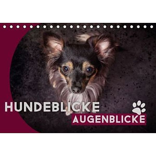 Hundeblicke / Augenblicke (Tischkalender 2016 DIN A5 quer), Oliver Pinkoss