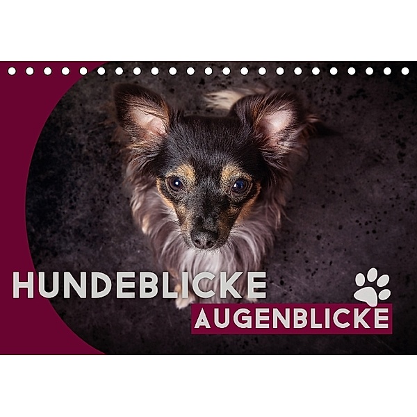 Hundeblicke / Augenblicke (Tischkalender 2018 DIN A5 quer), Oliver Pinkoss