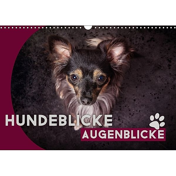 Hundeblicke / Augenblicke (Wandkalender 2018 DIN A3 quer), Oliver Pinkoss