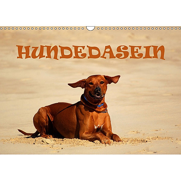 HundedaseinAT-Version (Wandkalender 2019 DIN A3 quer), Anke van Wyk