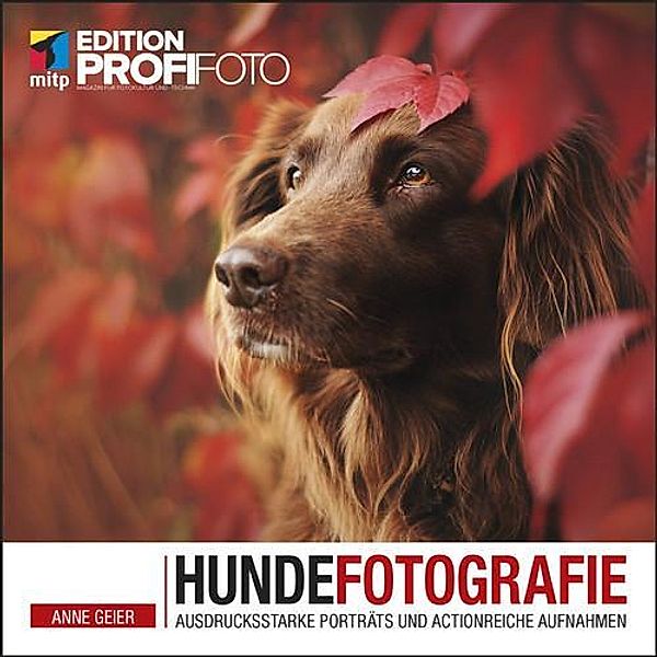 Hundefotografie, Anne Geier