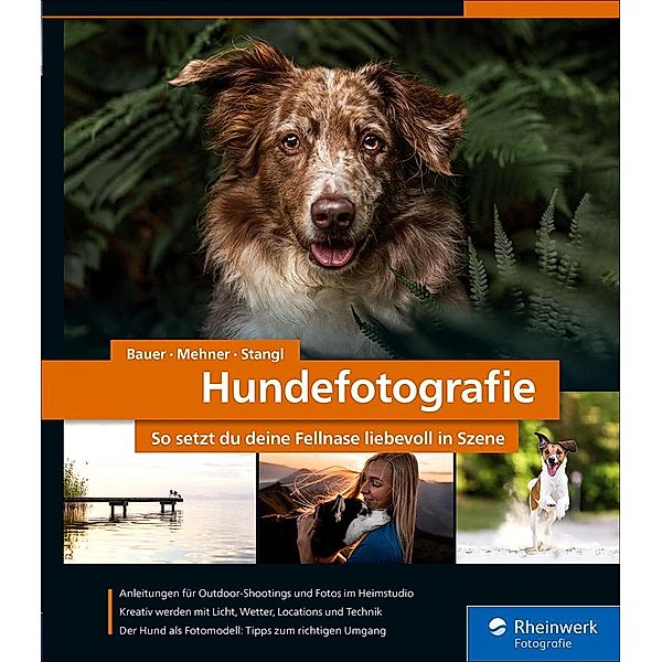 Hundefotografie / Rheinwerk Fotografie, André Bauer, Diana Jill Mehner, Sarah Stangl