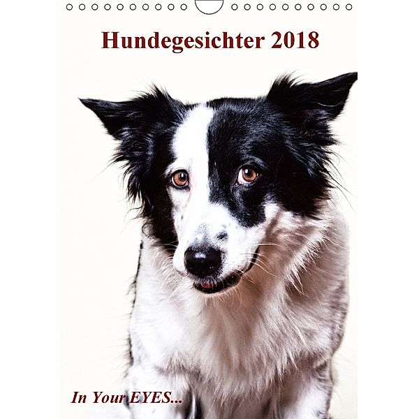 Hundegesichter 2018 - In your Eyes... (Wandkalender 2018 DIN A4 hoch), Gerhard Prager