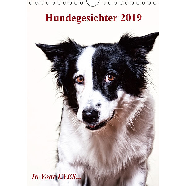 Hundegesichter 2019 - In your Eyes... (Wandkalender 2019 DIN A4 hoch), Gerhard Prager
