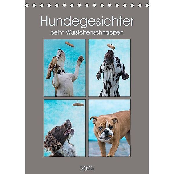 Hundegesichter beim Würstchenschnappen (Tischkalender 2023 DIN A5 hoch), Sonja Teßen
