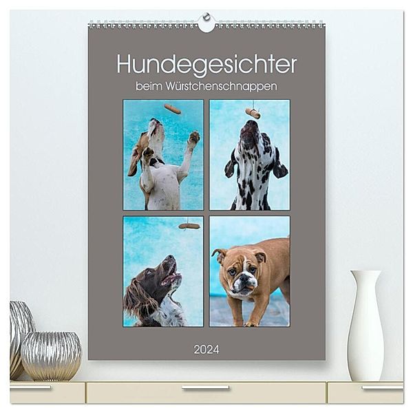 Hundegesichter beim Würstchenschnappen (hochwertiger Premium Wandkalender 2024 DIN A2 hoch), Kunstdruck in Hochglanz, Sonja Teßen