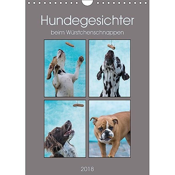 Hundegesichter beim Würstchenschnappen (Wandkalender 2018 DIN A4 hoch) Dieser erfolgreiche Kalender wurde dieses Jahr mi, Sonja Teßen