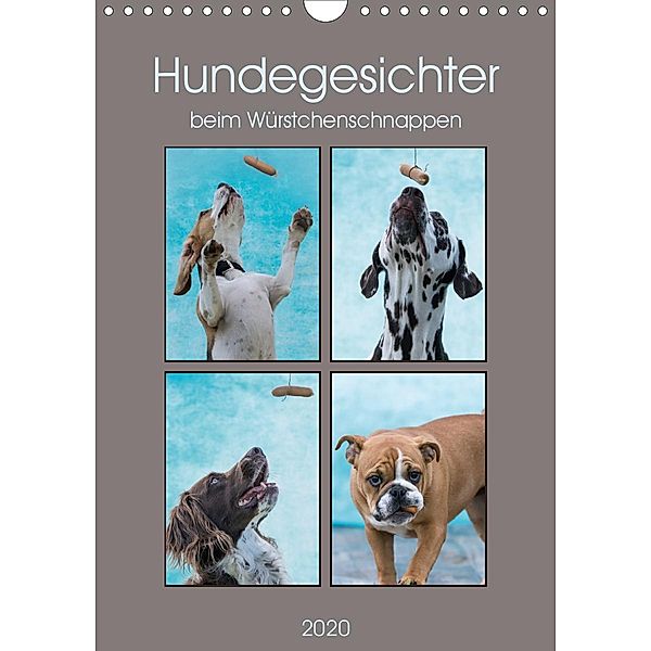 Hundegesichter beim Würstchenschnappen (Wandkalender 2020 DIN A4 hoch), Sonja Teßen