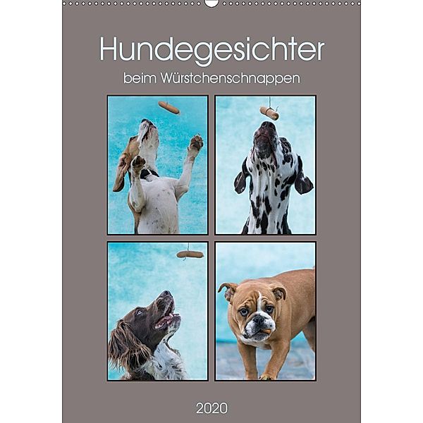 Hundegesichter beim Würstchenschnappen (Wandkalender 2020 DIN A2 hoch), Sonja Teßen