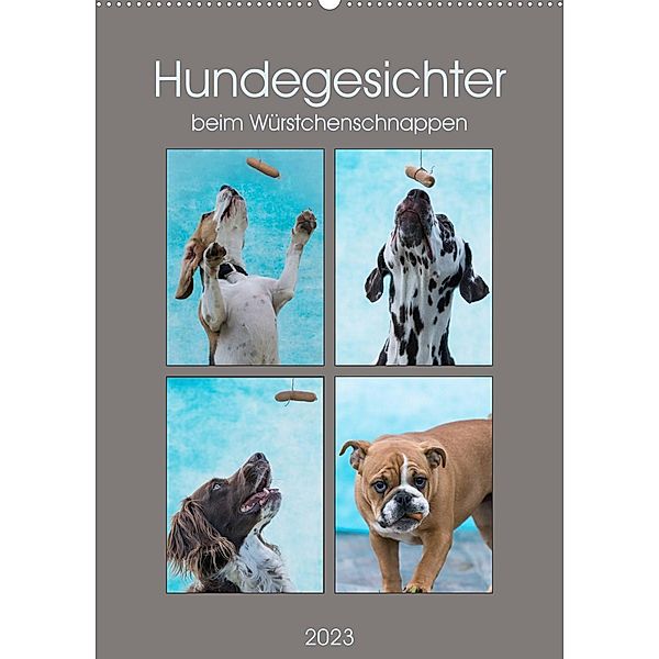 Hundegesichter beim Würstchenschnappen (Wandkalender 2023 DIN A2 hoch), Sonja Teßen