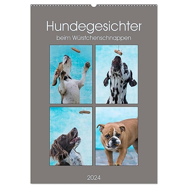 Hundegesichter beim Würstchenschnappen (Wandkalender 2024 DIN A2 hoch), CALVENDO Monatskalender, Sonja Teßen