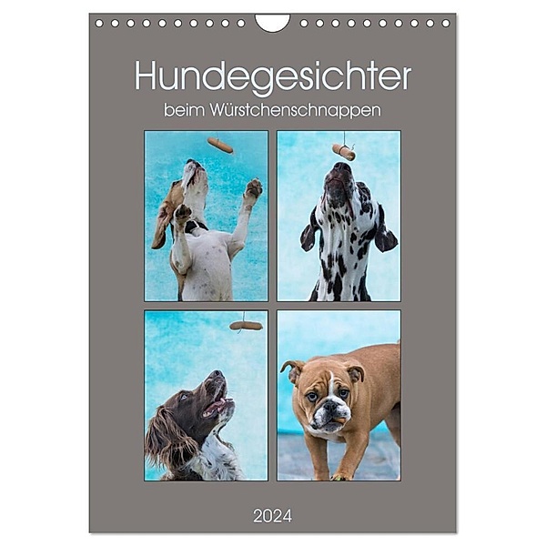 Hundegesichter beim Würstchenschnappen (Wandkalender 2024 DIN A4 hoch), CALVENDO Monatskalender, Sonja Teßen